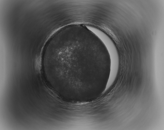 X0000094170484200711091127