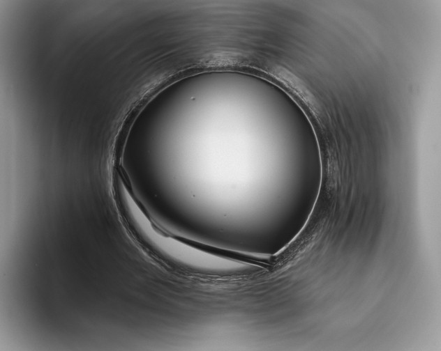 X0000094170485200711091127