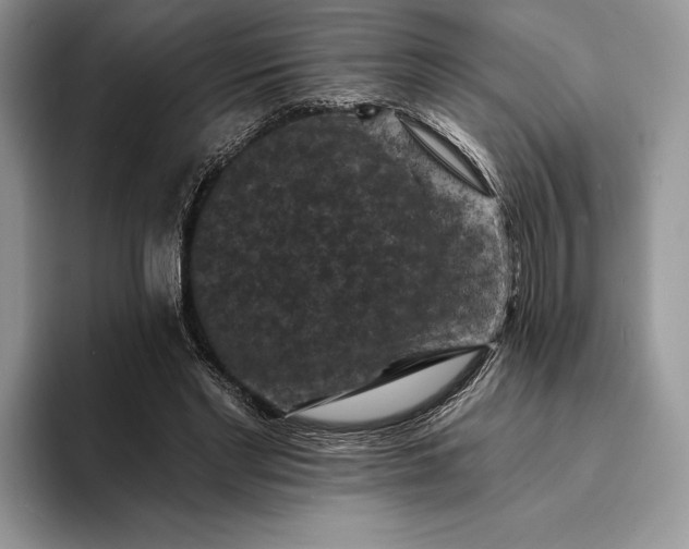X0000094170493200711091127