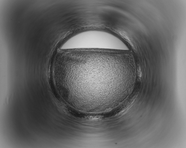 X0000094170495200711091127