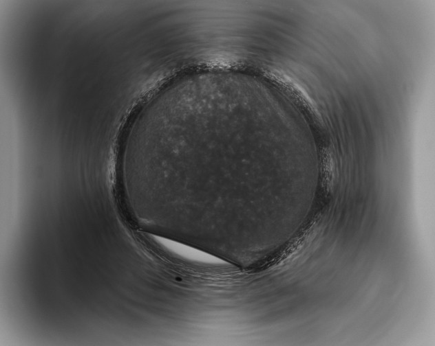 X0000094170496200711091127