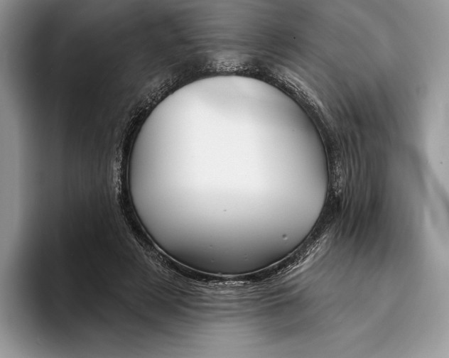 X0000094170497200711091127