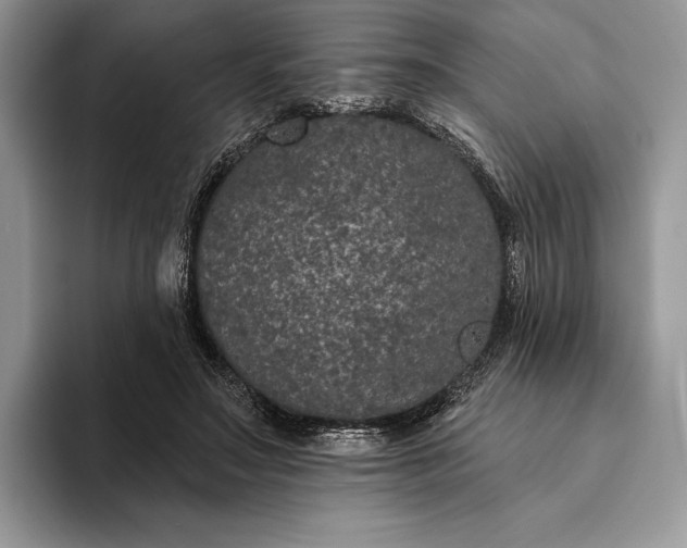 X0000094170499200711091127