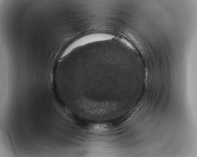 X0000094170500200711091127