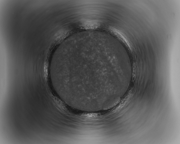 X0000094170501200711091127