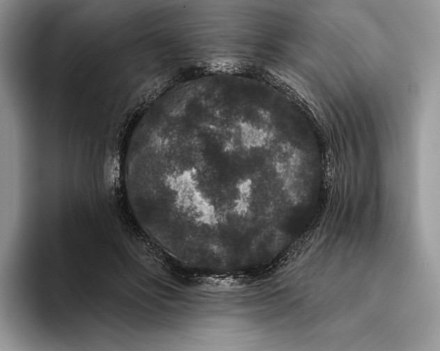 X0000094170502200711091127
