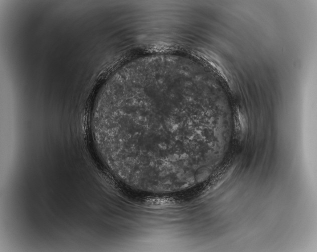 X0000094170503200711091127