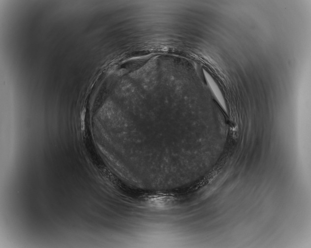 X0000094170504200711091127