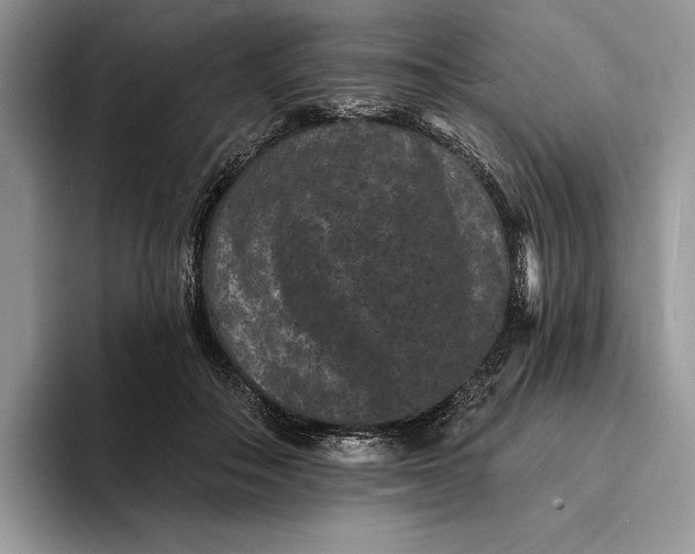 X0000094170506200711091127