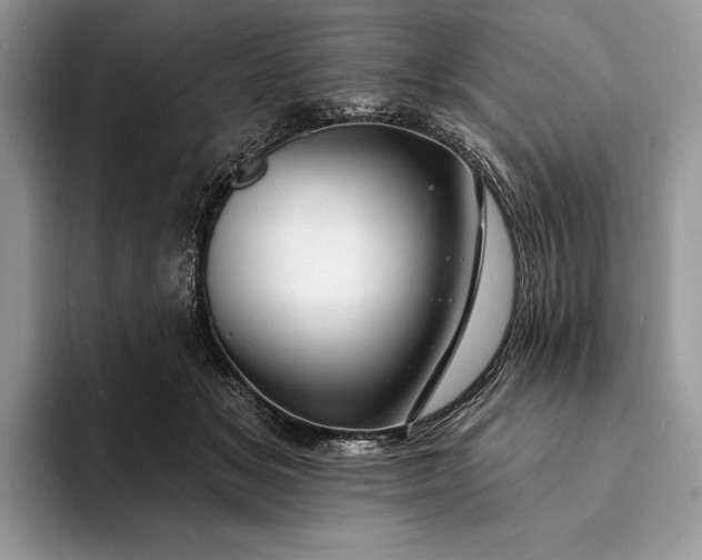 X0000094170509200711091126