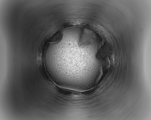 X0000094170510200711091126