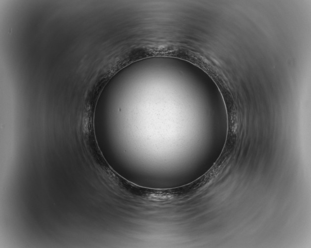 X0000094170515200711091126