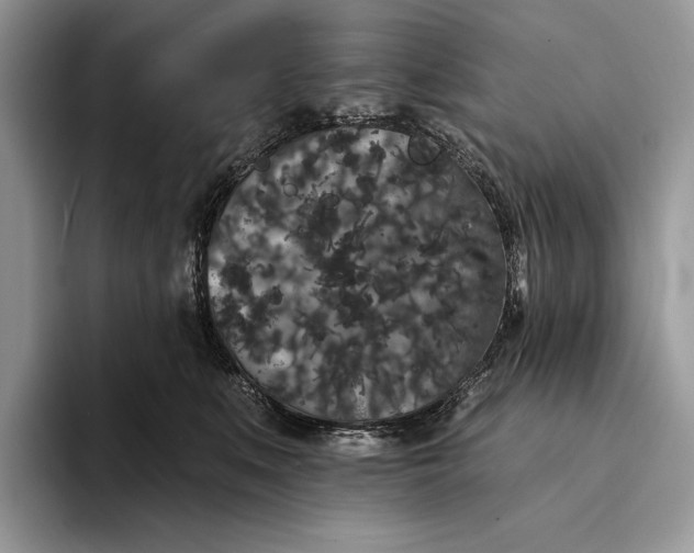 X0000094170519200711091126