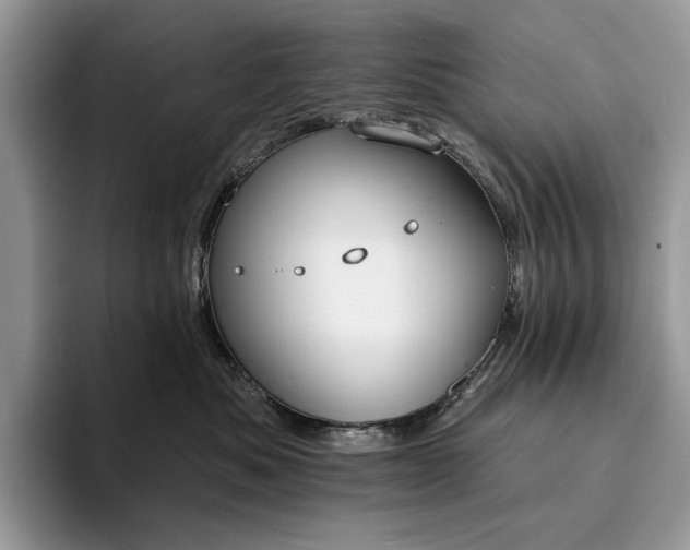 X0000094170525200711091126