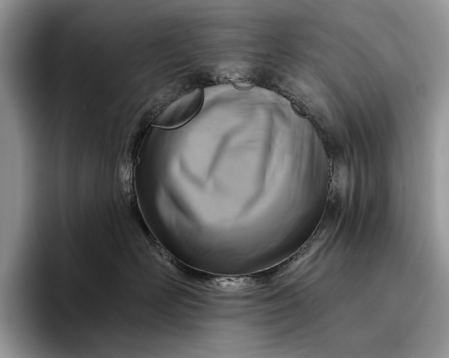 X0000094170526200711091126