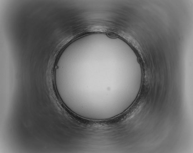 X0000094170529200711091126