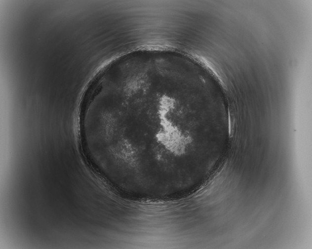 X0000094170531200711091126