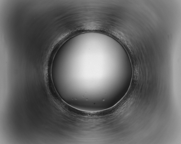 X0000094170535200711091126
