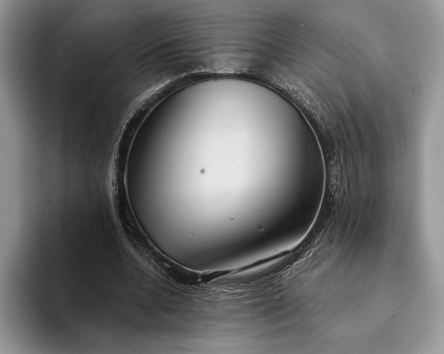 X0000094170536200711091126