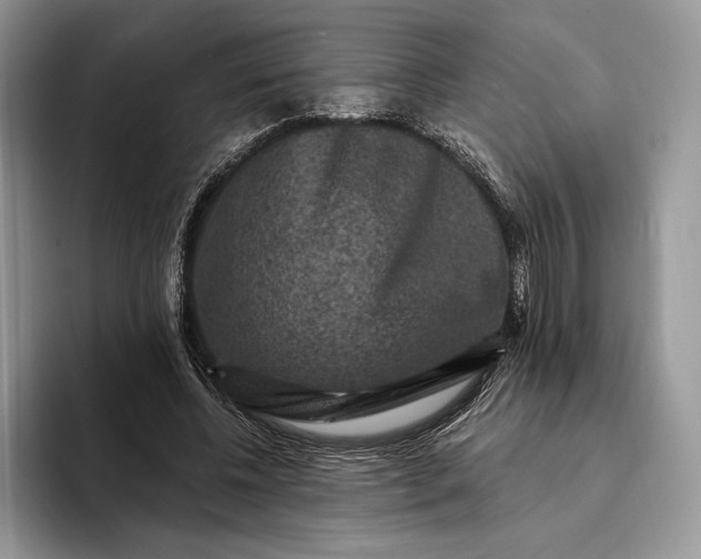 X0000094170540200711091126