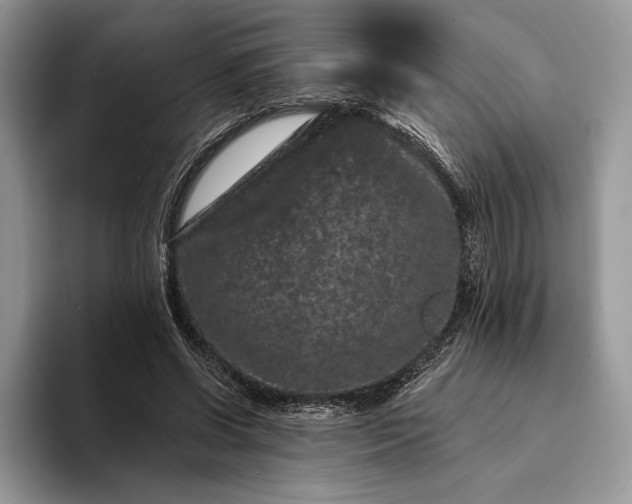 X0000094170542200711091126