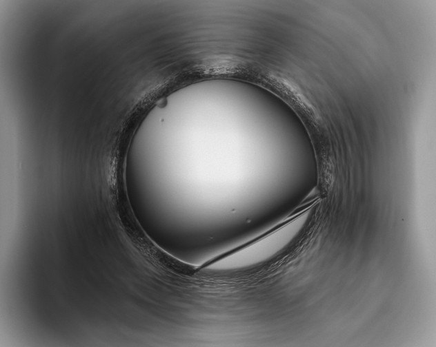 X0000094170543200711091126
