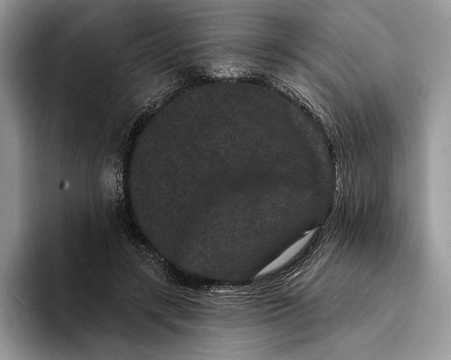 X0000094170547200711091126