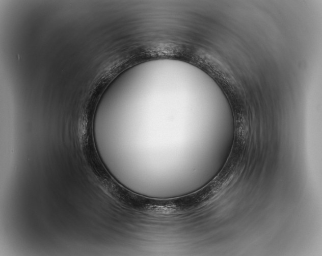 X0000094170548200711091126