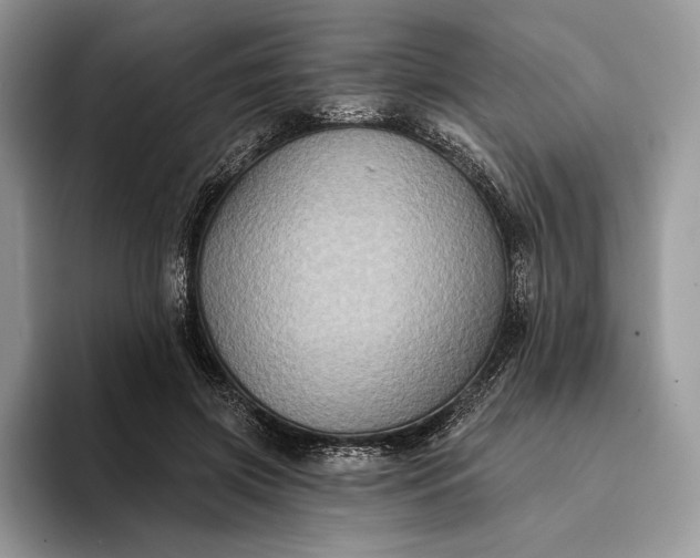 X0000094170549200711091126
