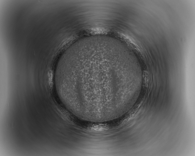 X0000094170550200711091126
