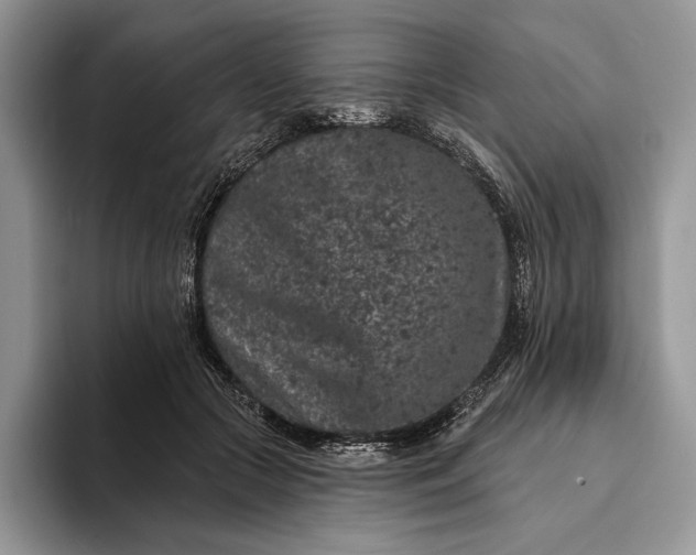 X0000094170553200711091126