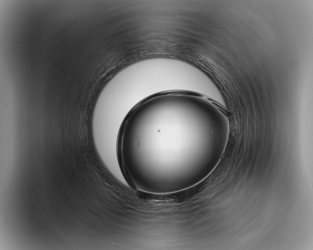 X0000094170556200711091126