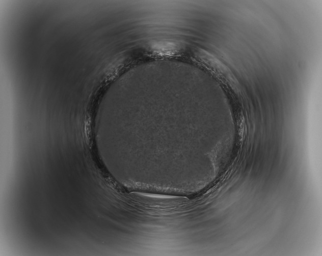 X0000094170559200711091126