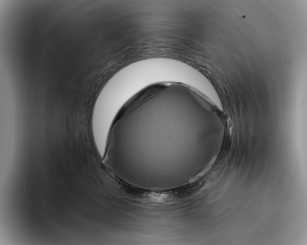 X0000094170570200711091126