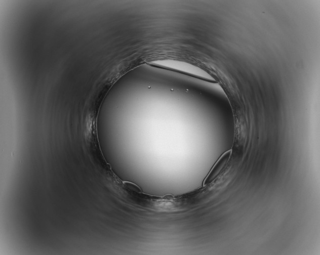 X0000094170574200711091126