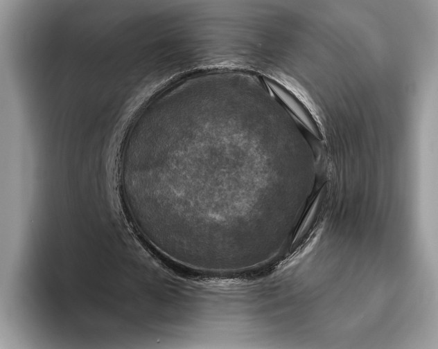 X0000094170577200711091126
