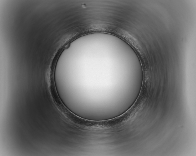 X0000094170578200711091126
