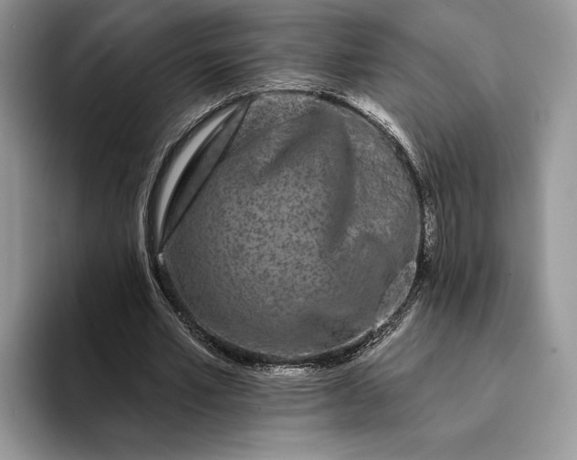 X0000094170581200711091126