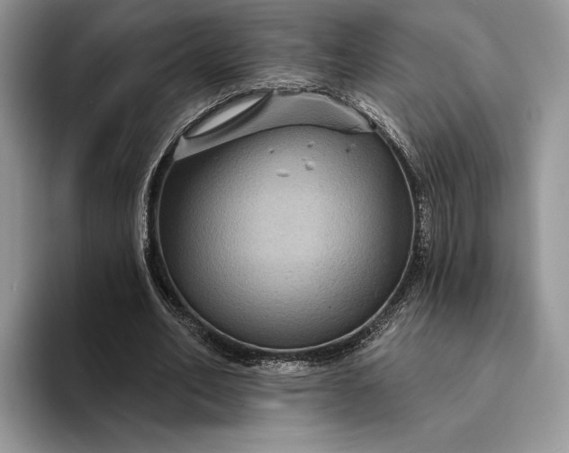 X0000094170582200711091126