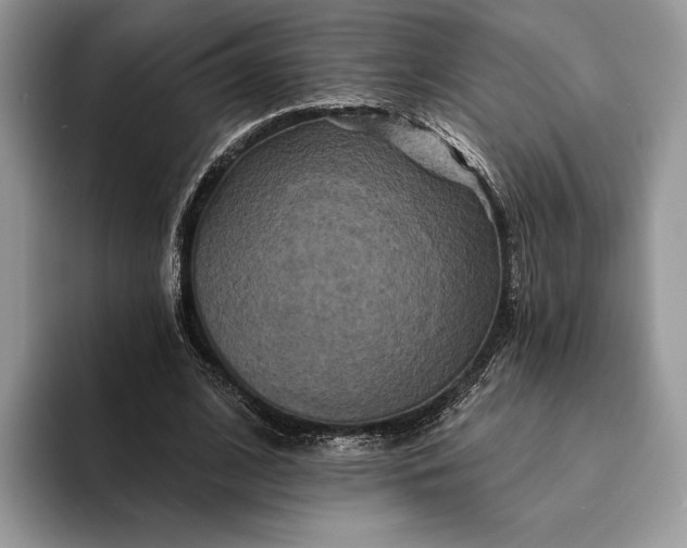 X0000094170584200711091126