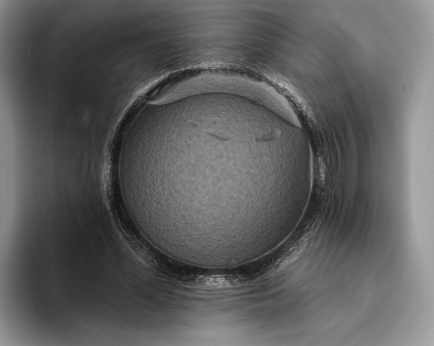 X0000094170588200711091126