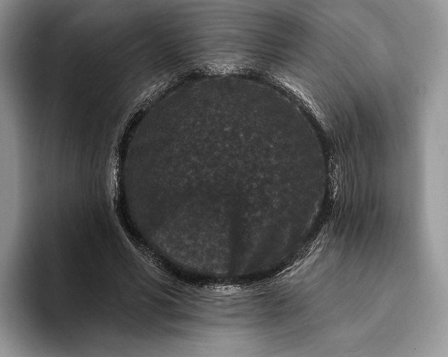 X0000094170590200711091126