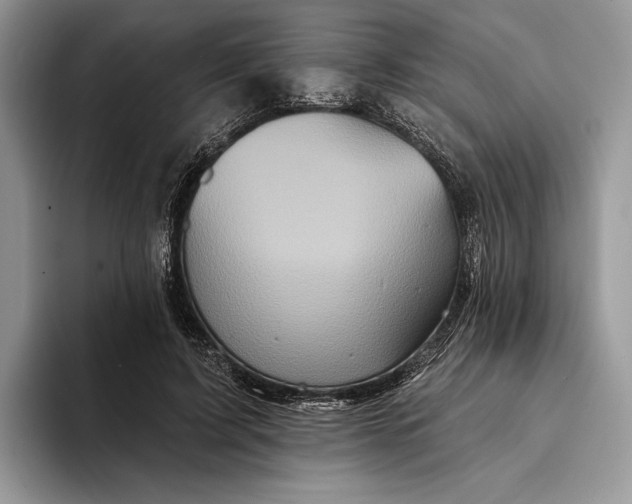 X0000094170595200711091125