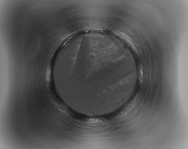 X0000094170596200711091125