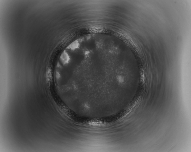 X0000094170598200711091125