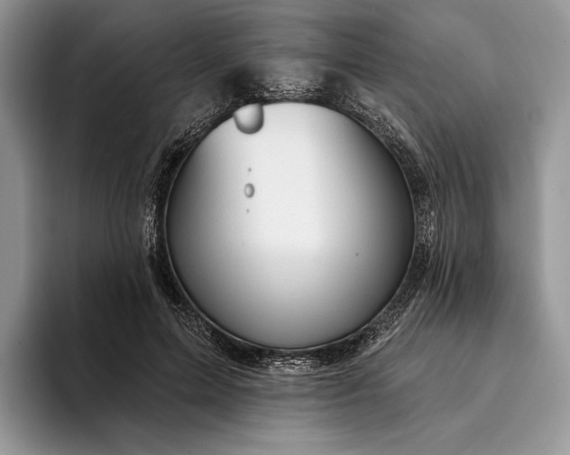 X0000094170599200711091125