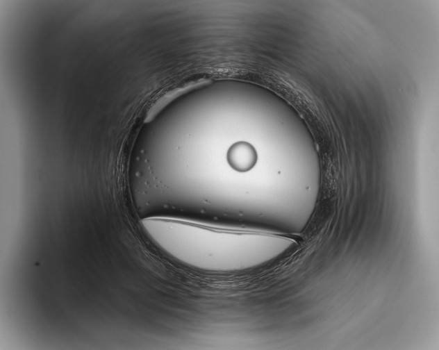 X0000094170601200711091125