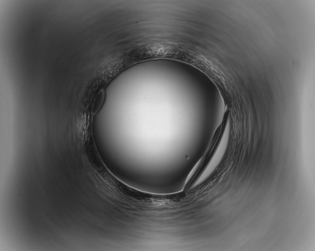 X0000094170605200711091125
