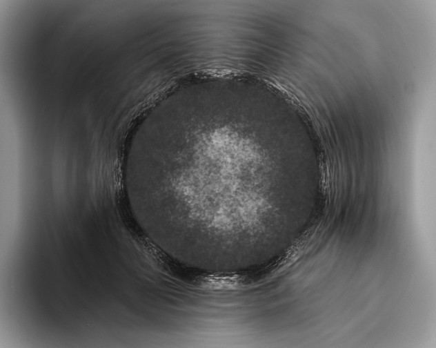 X0000094170606200711091125