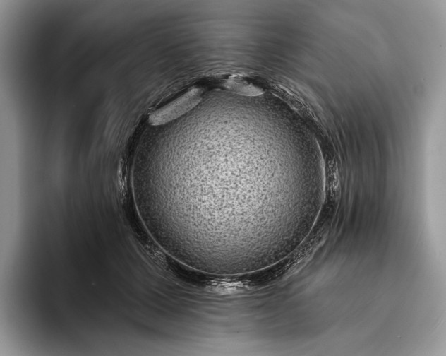 X0000094170607200711091125